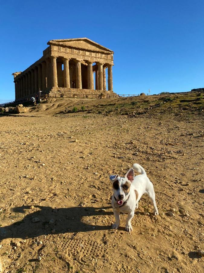 Akragaroom Agrigento Kültér fotó