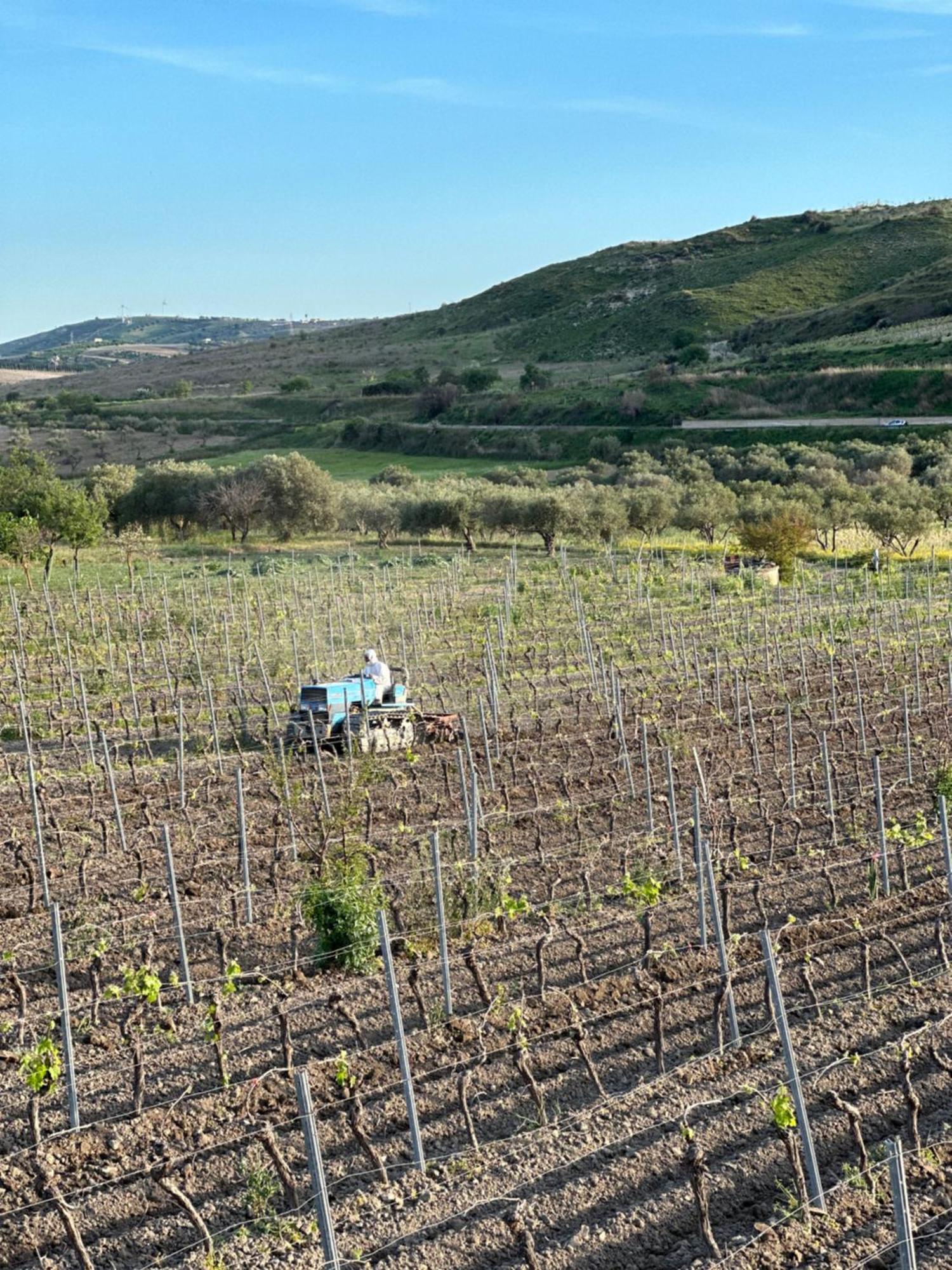 Akragaroom Agrigento Kültér fotó